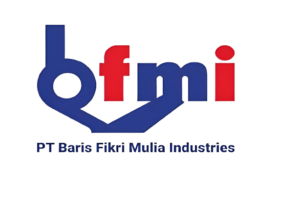 Logo BFMI