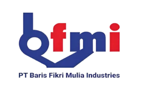 Logo BFMI