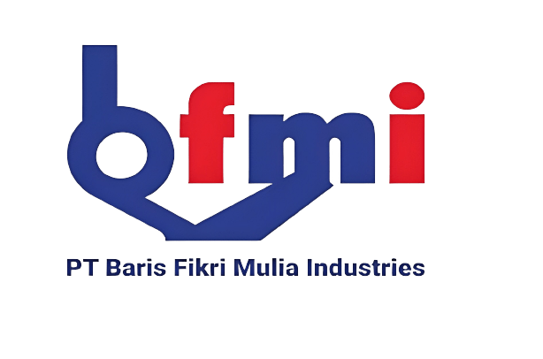 Logo BFMI