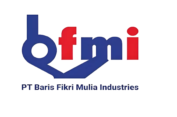 Logo BFMI